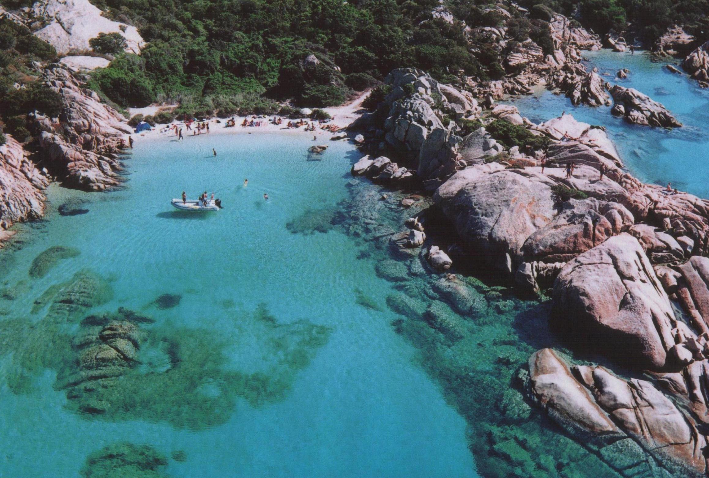 Gabbiano di Porto Cervo